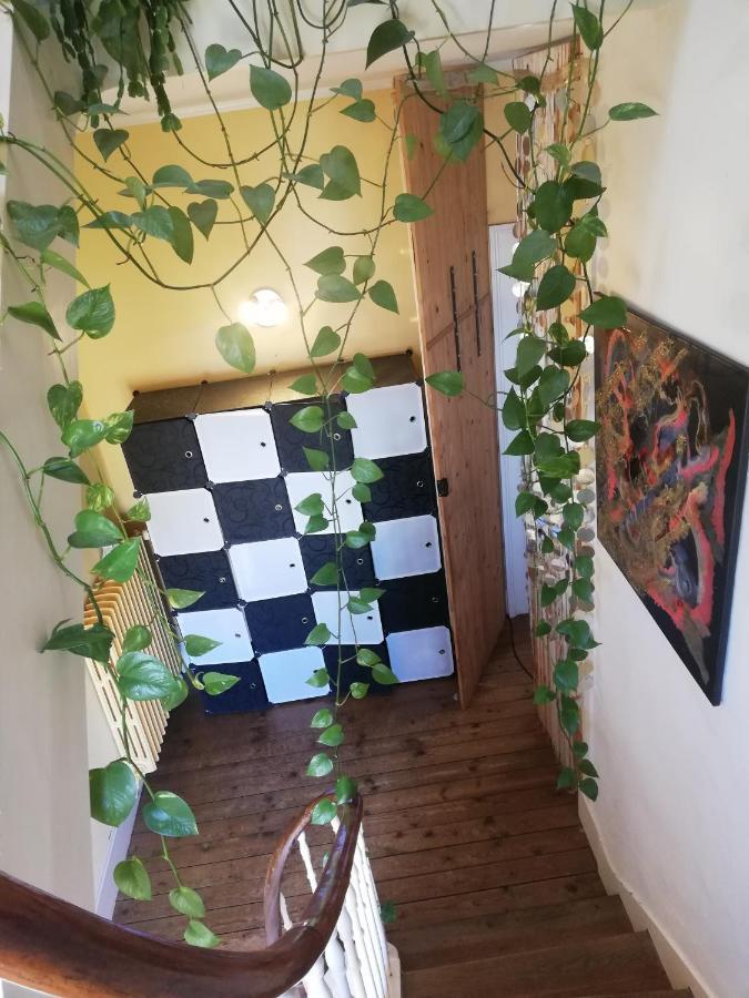 Апартаменты La Chambre D'Hote De Christelle Шербур-ан-Котантен Экстерьер фото